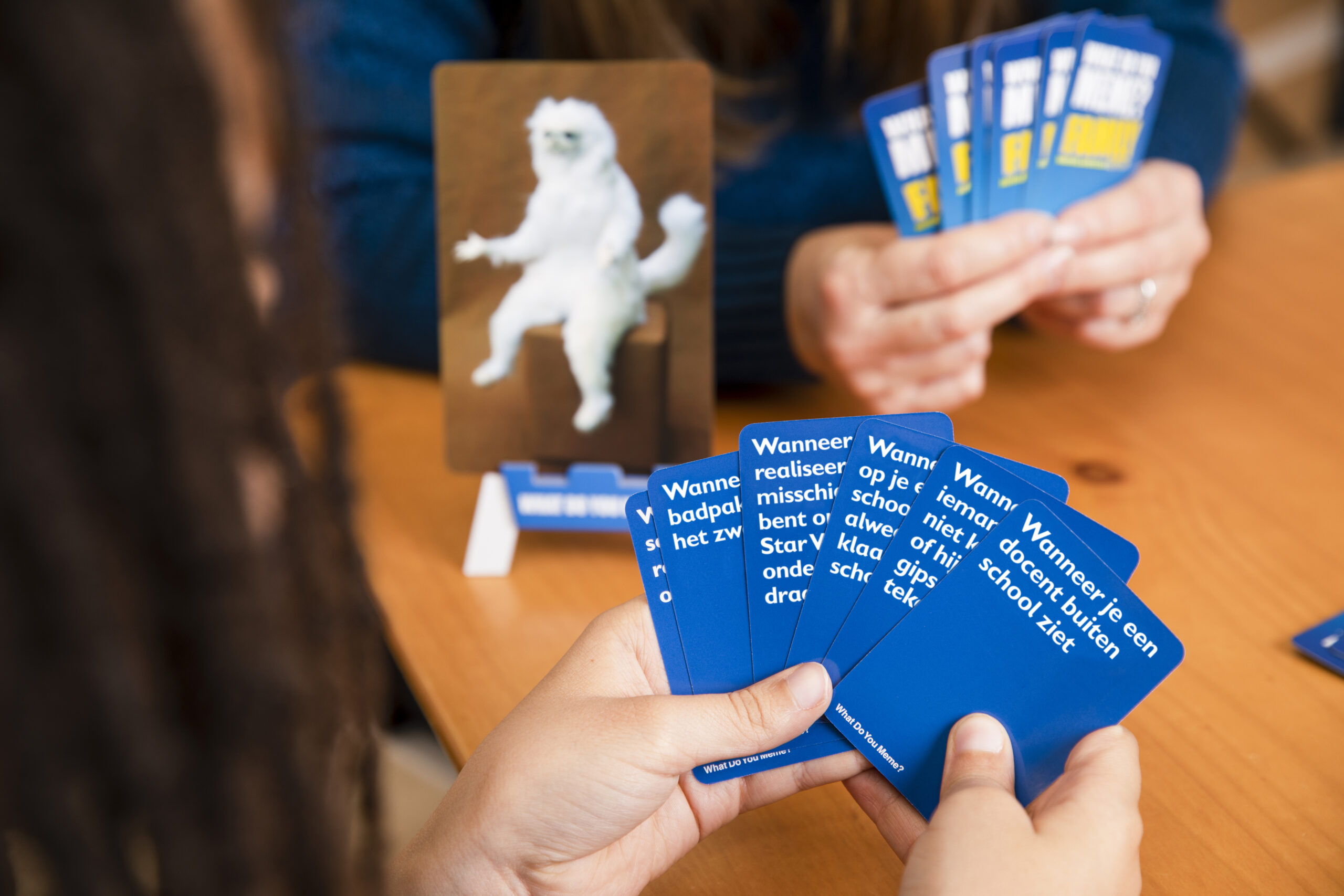 What Do You Meme Family - NL - Afbeelding 11